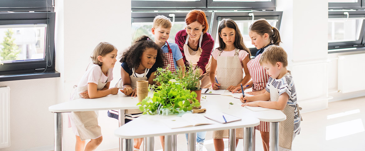 ISO 14001 for Schools - UAE
